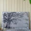 Reproduction d'art sur toile 59 "x 39"
