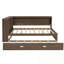 Lit de jour en bois pleine grandeur avec tablettes de rangement, USB, DEL et lit gigogne-1091214832
