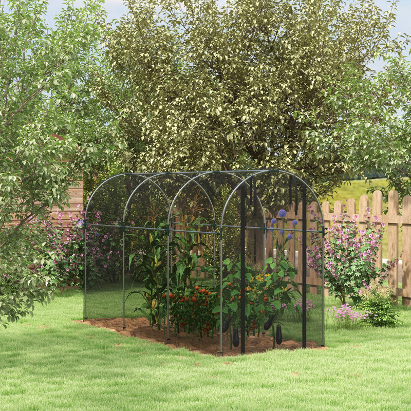 Black Steel 4' x 4' Curved Roof Plant Protection Tent