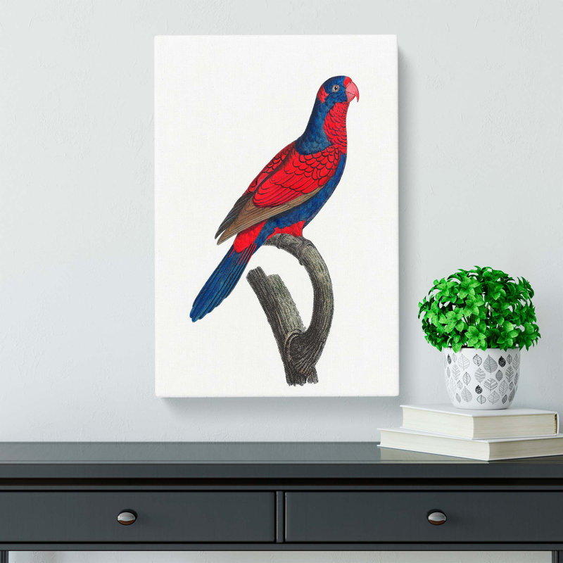 Lory by F. Levaillant - Wrapped Canvas Print, 50cm H x 35cm W x 3cm D