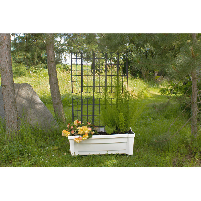 Calypso Self-Watering Planter Box, White