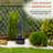 Robillard Outdoor Metal Weather Resistant Floor Fountain