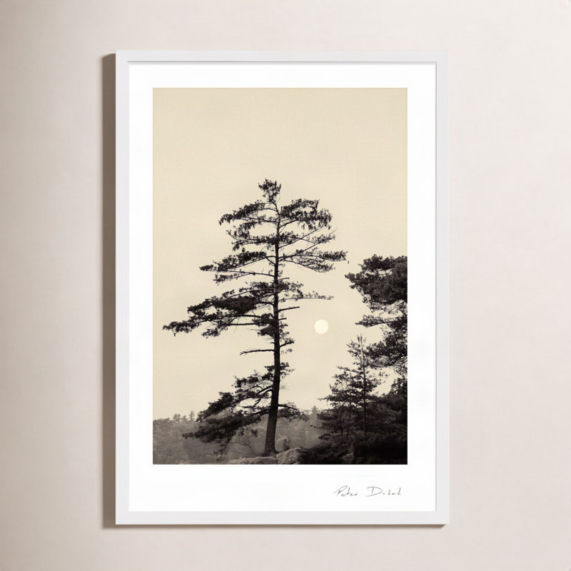 Photographie de jardin, H 20 po x l 14 po x P 1,25 po, Blanc