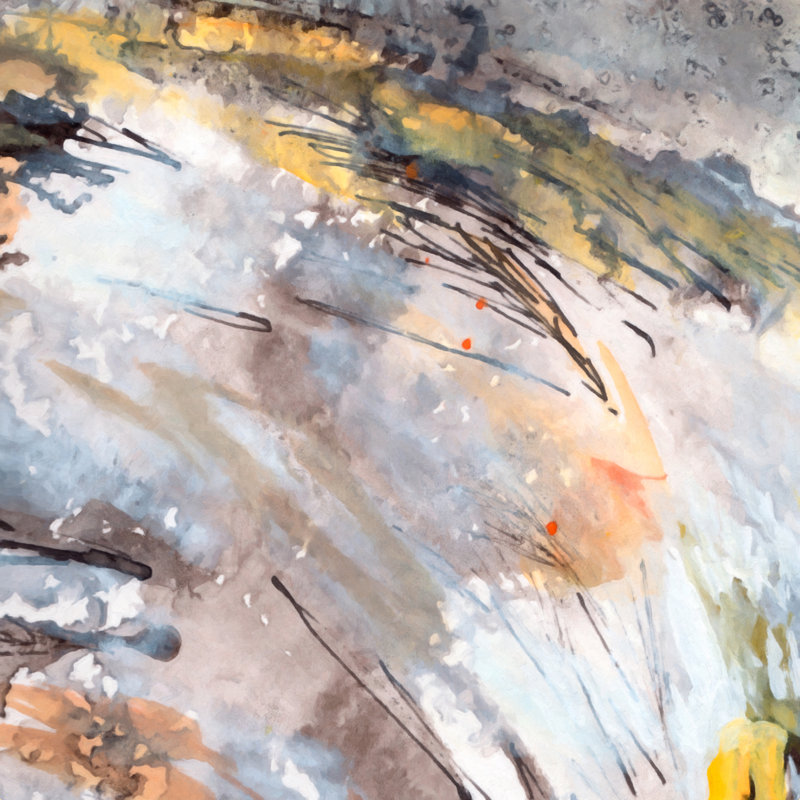 «Zakir Ginette Fine Art Feathers In The Wind» par Ginette Callaway, reproduction d'art sur toile tendue, H 36 po x l 36 po