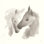 «Nuzzling I» par Chris Paschke