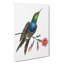 Furcated Hummingbird by George Shaw - Wrapped Canvas-55304223