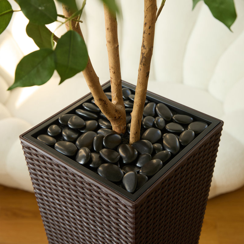 Ficus artificiel avec base décorative Almont et protection contre les rayons UV Almont, Brun, H 60 po x l 20 po x P 20 po