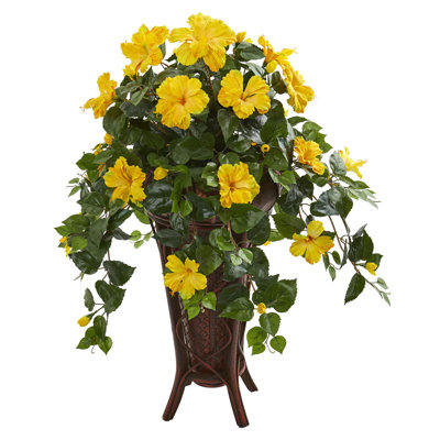 Hibiscus Arrangement in Planter