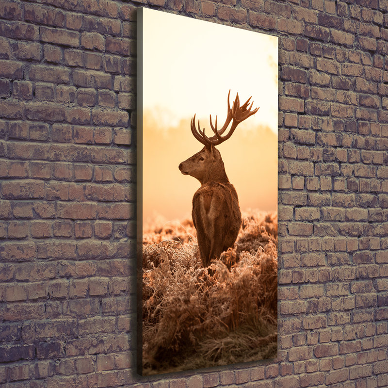 Deer Sunrise - Wrapped Canvas Print