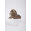 Figurine de chaton Teacup Tabby-20582133