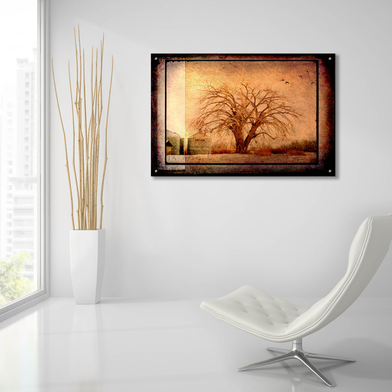 «For The Love Of Trees IV» par Lightbox Journal, H 24 po x l 36 po x P 0,2 po