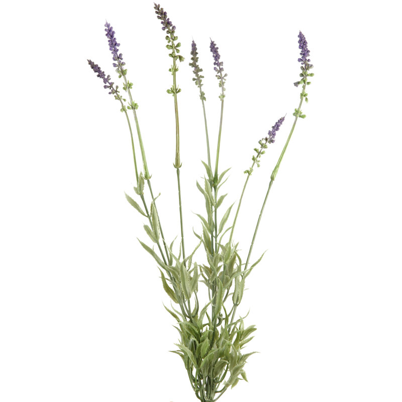 Lavender Arrangement