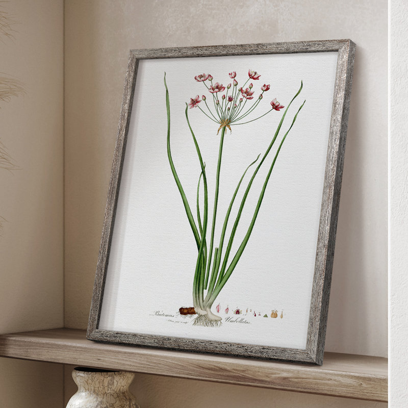 Rose Botanical II Framed Print - Solid Wood 47458, 30" H x 24" W