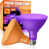 Orange/Purple selected