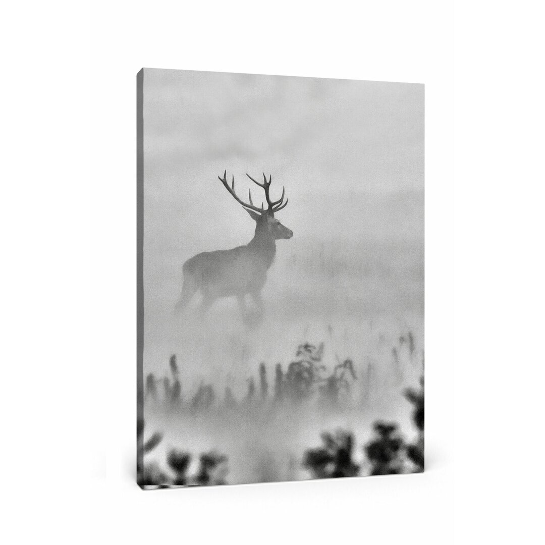 Leinwandbild Hirsch im Nebel