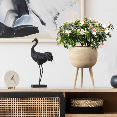 Wood Pot Planter