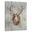 Antlers 2 by Kimberly Allen - Wrapped Canvas Print-461148363