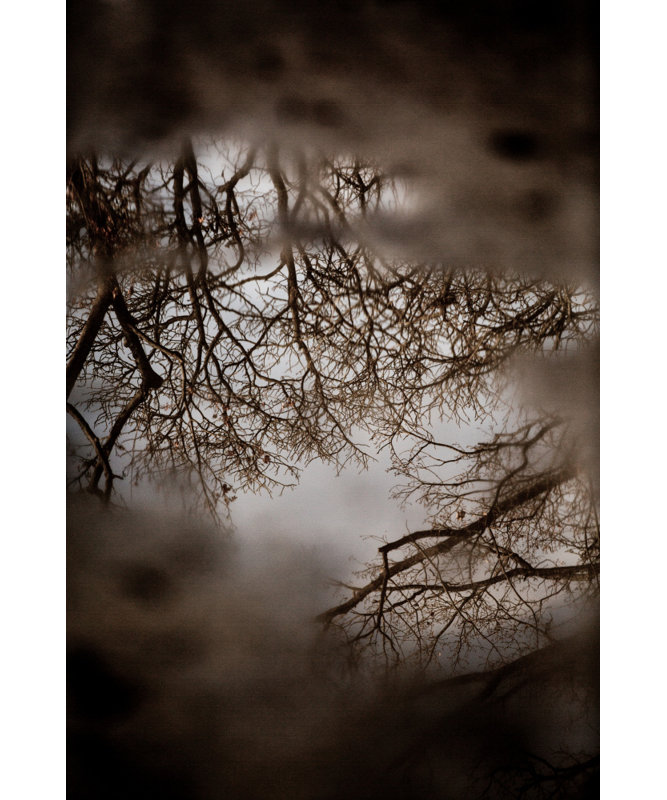 Wrapped Canvas Print, 91.44 cm H x 60.96 cm W