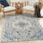 Oriental Indoor Rug-335180962