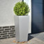 Raice Planter Box-2052166974-2052172484