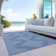 Machine Washable Indoor/Outdoor Chayden ACN1016 Rug