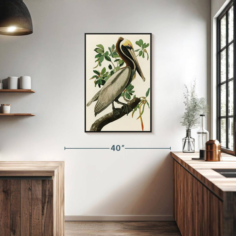 Pélican Audubon, 25 po x 37 po, Cadre flottant noir