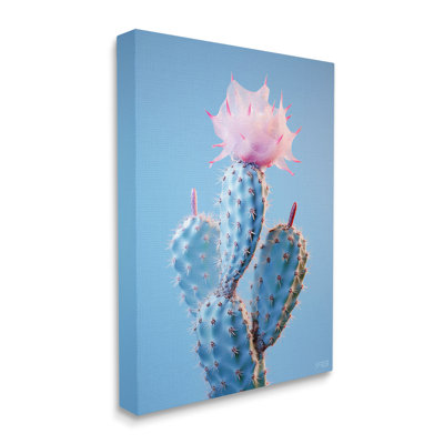 Conception d'art sur toile rose avec fleurs de cactus en herbe par Rb