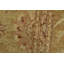 Tapis unique 10 pi 1 po x 14 pi Gilliand