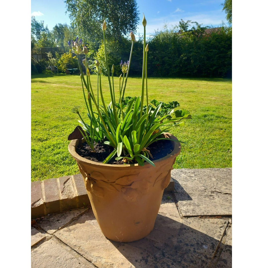 Zachariah Fiberglass Planter