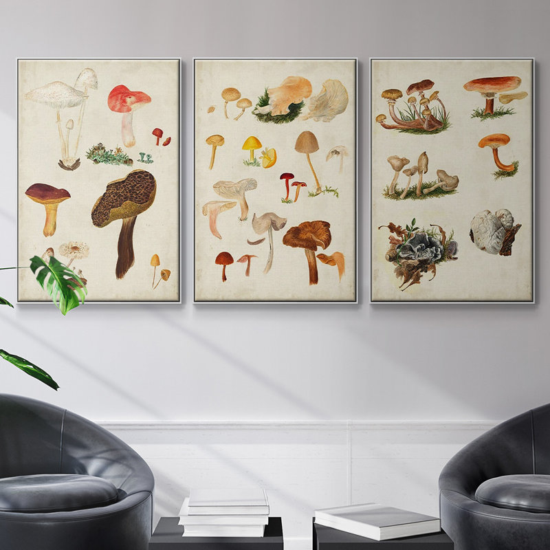 Champignon X, H 36 po x l 72 po x P 2 po, Blanc