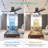 Chrisel Ceiling Fan with Light Kit