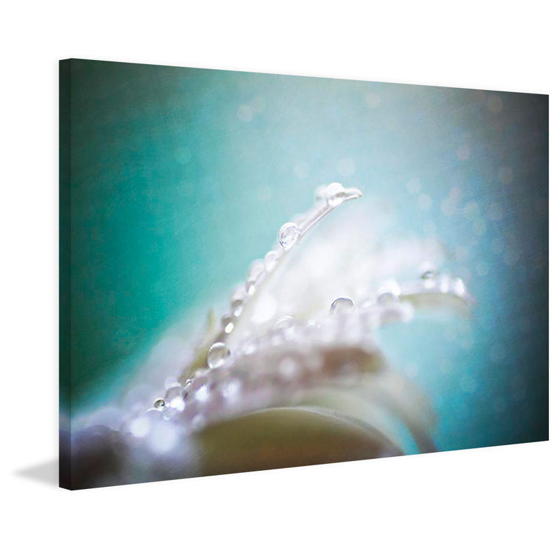 Sylvia Cook - Wrapped Canvas Print, 30cm H x 45cm W