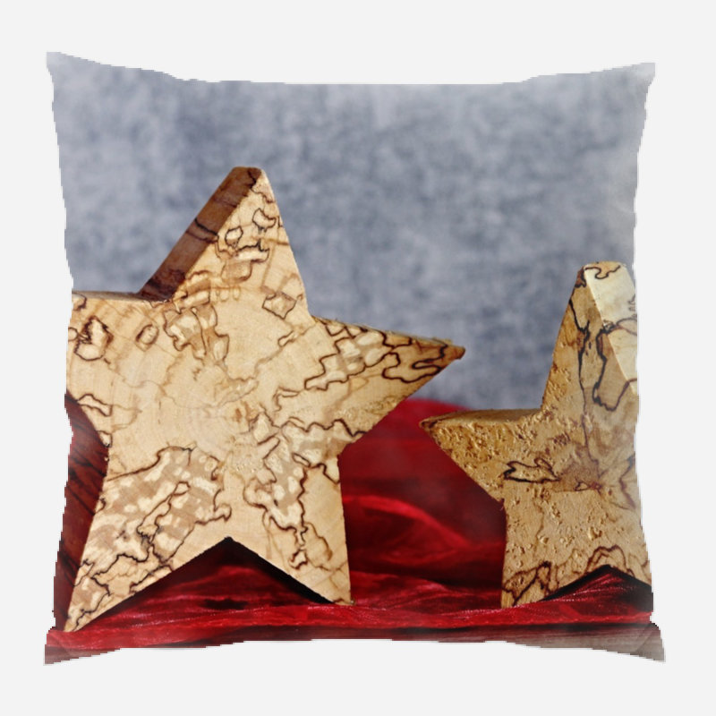 Microsuede Reversible Throw Pillow