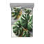 Ensemble de draps en microfibre pour chambre d'amis-96238875