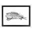 Feather by Jean Bernard - Picture Frame Drawing Print-55536027-55536024