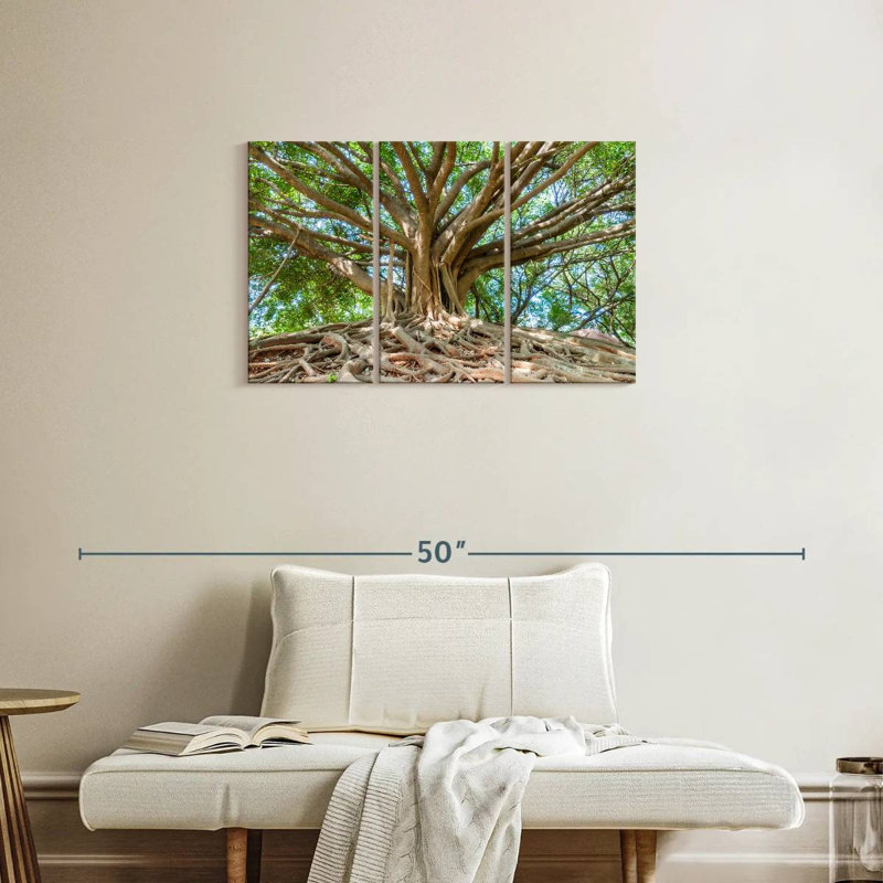 Parc Harnek Banyan Tree, H 20 po x l 33 po