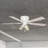 Audronis 52'' Ceiling Fan with Light Kit-1682427436-1682427437