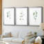 Douce branche d'eucalyptus I - reproduction sur mesure encadrée de qualité supérieure - 3 pièces-1054711245-1054711237