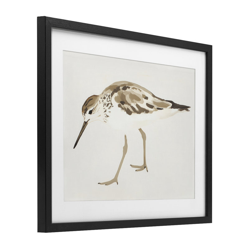 Sandpiper Shore Bird, H 13 po x l 16 po, Cadre noir minuit
