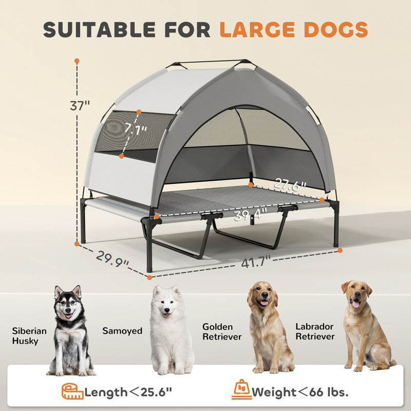 Raised Pet Cot,Elevated Portable Dog Cot