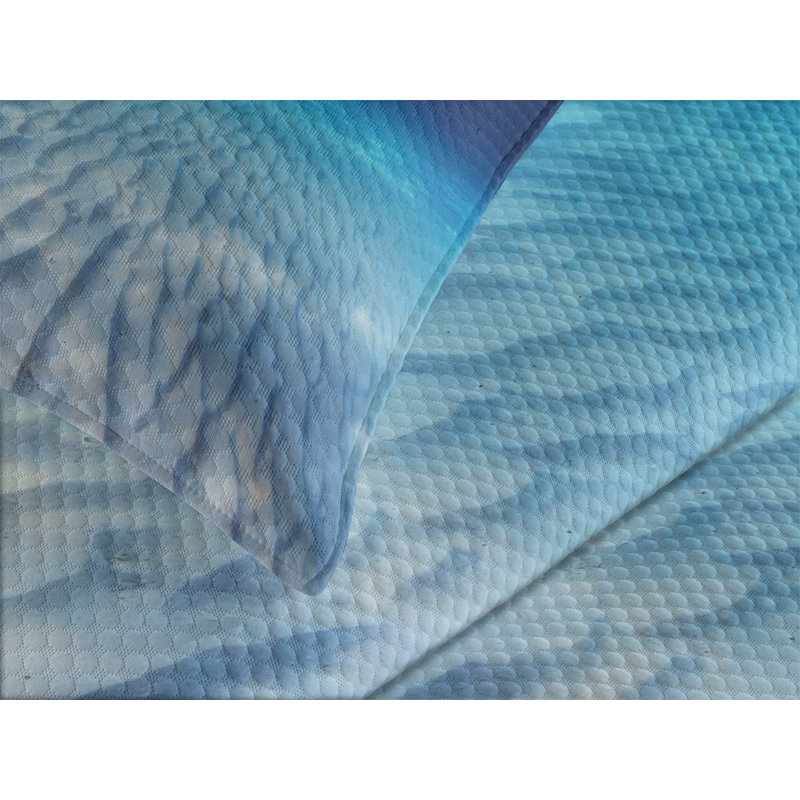 Queen White and Blue Quilted Bedspread Set with Shams