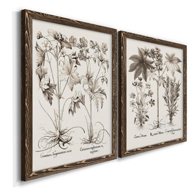 Toile encadrée sépia Besler Botanicals V-Premium - prête à être accrochée