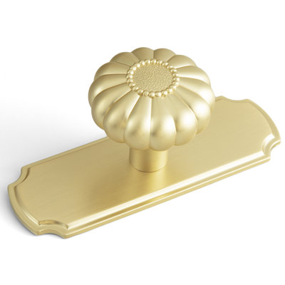 1 3/5" Mushroom Knob With Backplate Multipack
