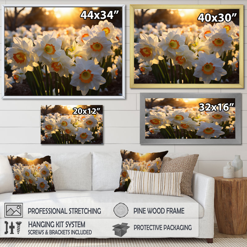 Daffodils Field Sunrise V - Art mural sur toile florale, H 30 po x l 40 po x P 1,5 po, Toile tendue