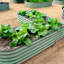 Shaped Metal Outdoor Raised Garden Bed-100311304-100311307