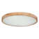 Hamlin Plastic LED Semi Flush Mount