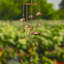 Carillon Nauvoo