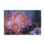No Frame Print on Canvas-958383362