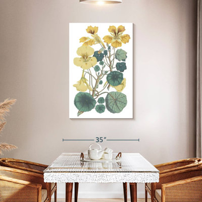 Harnek Antique Botanical I Cool