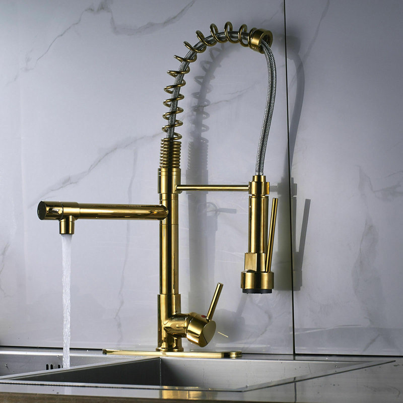 Robinet de cuisine à poignée simple pull down